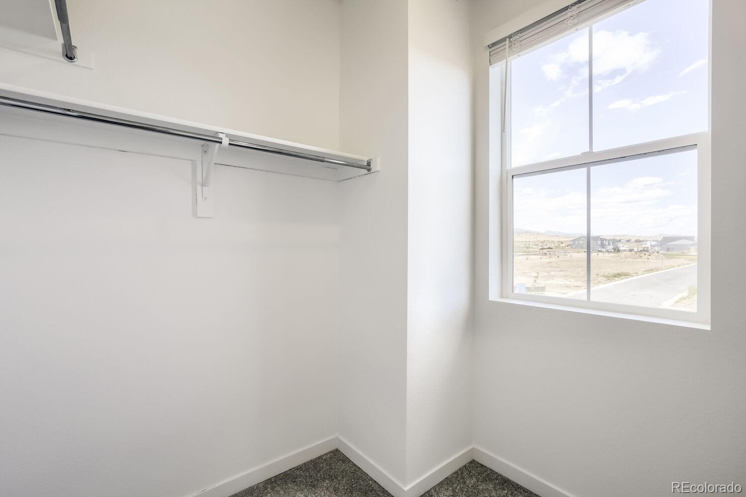 MLS Image #2 for 3536  quincy bay street,loveland, Colorado