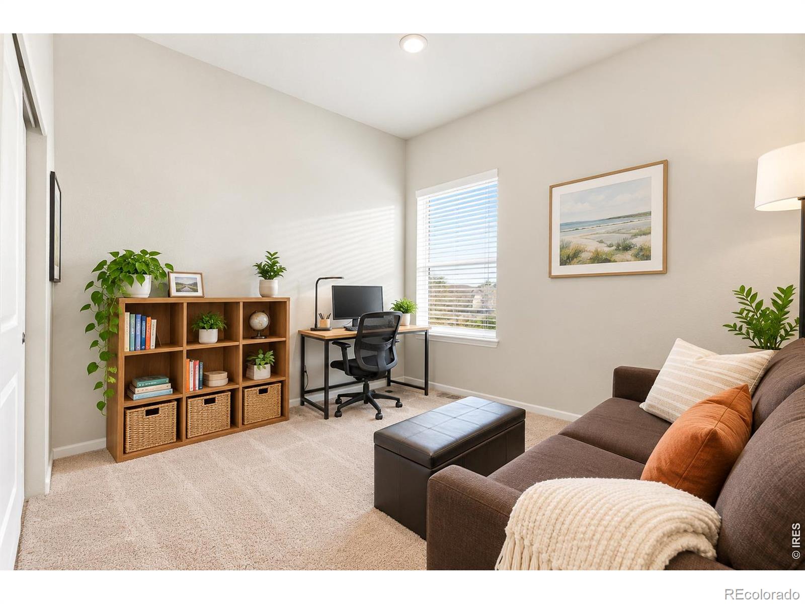 MLS Image #10 for 1051  long meadows street,severance, Colorado