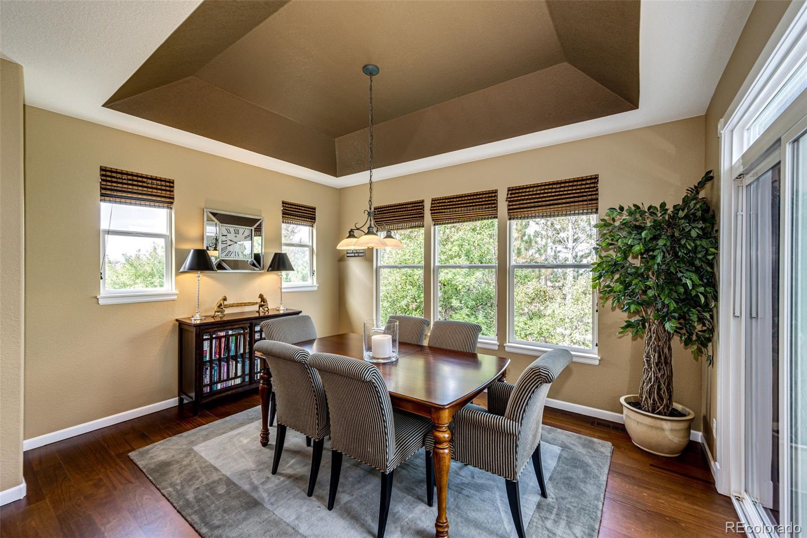 MLS Image #16 for 2945  newbury court,highlands ranch, Colorado