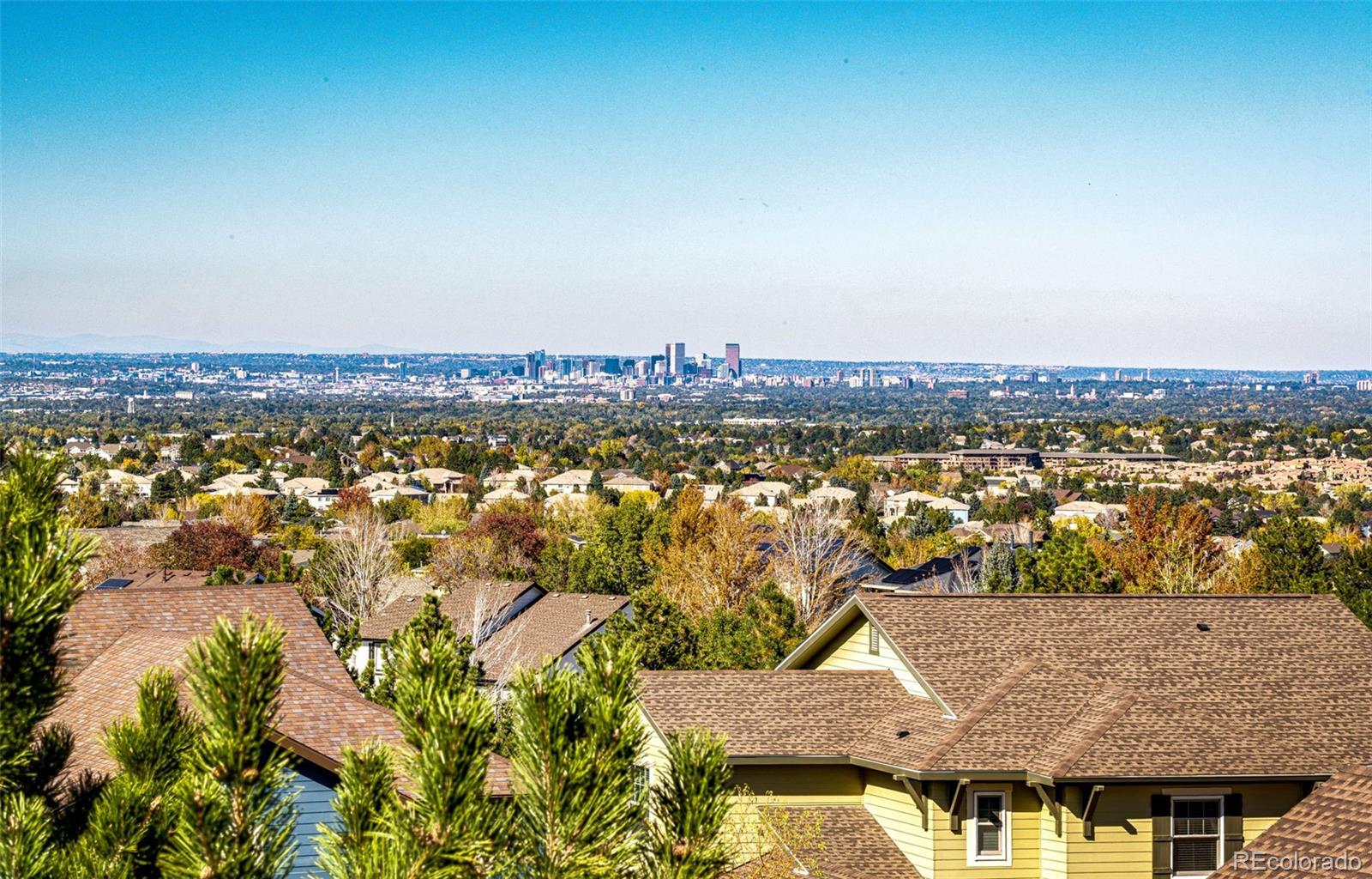 MLS Image #29 for 2945  newbury court,highlands ranch, Colorado