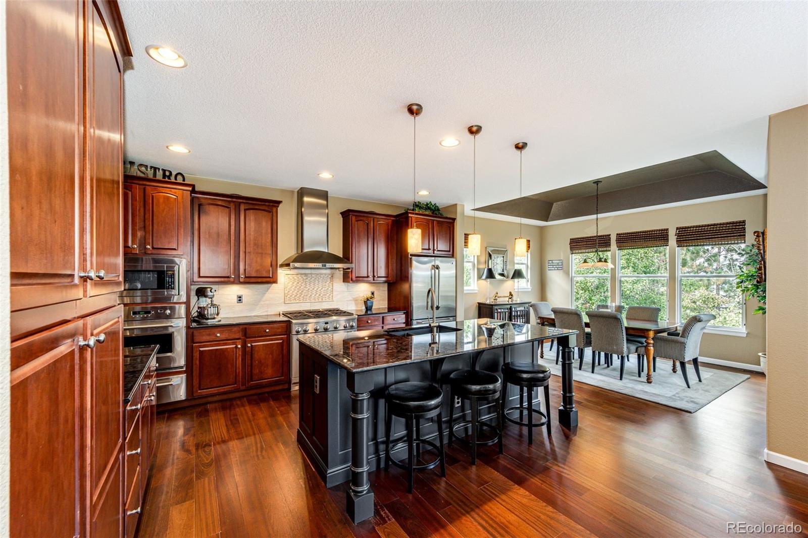 MLS Image #9 for 2945  newbury court,highlands ranch, Colorado
