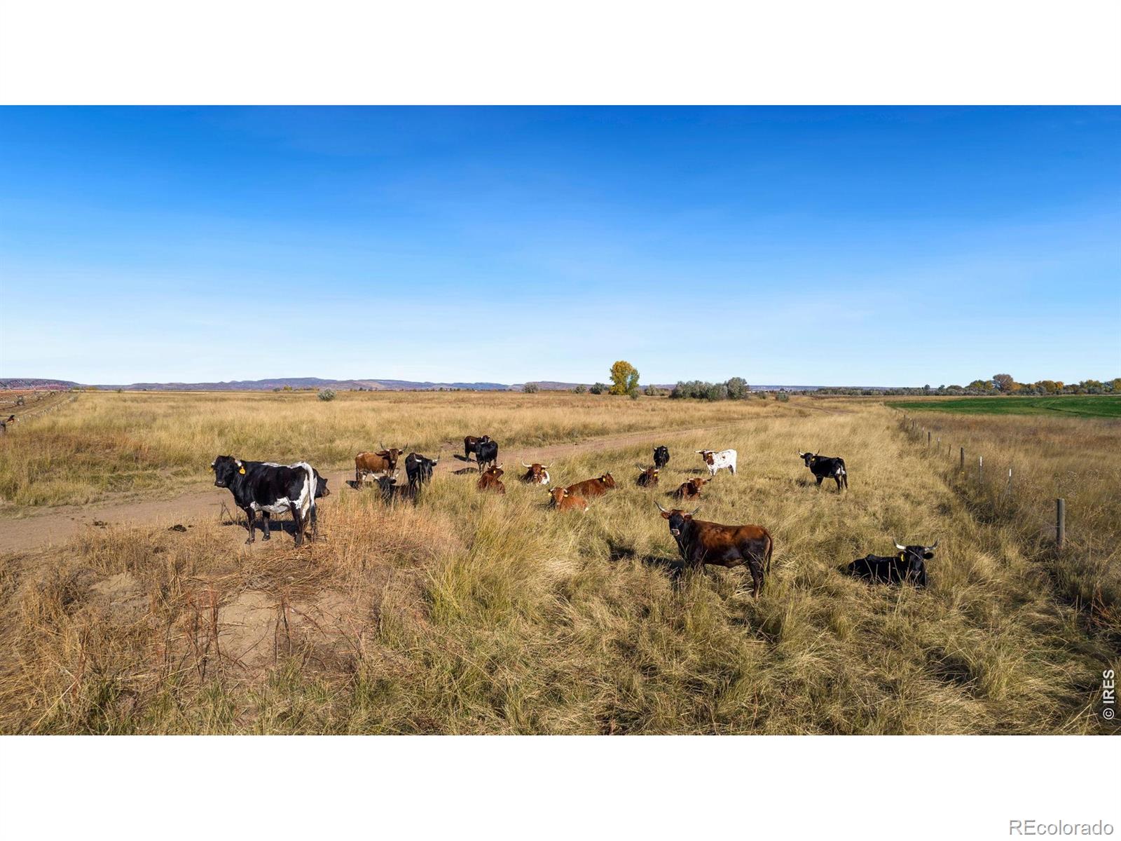 MLS Image #45 for 13601 n county road 11 ,wellington, Colorado