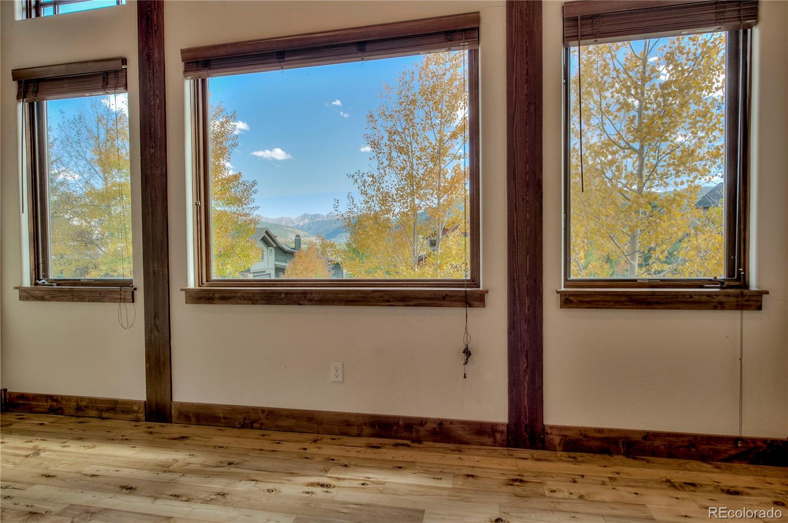 MLS Image #4 for 51  mule deer court,dillon, Colorado