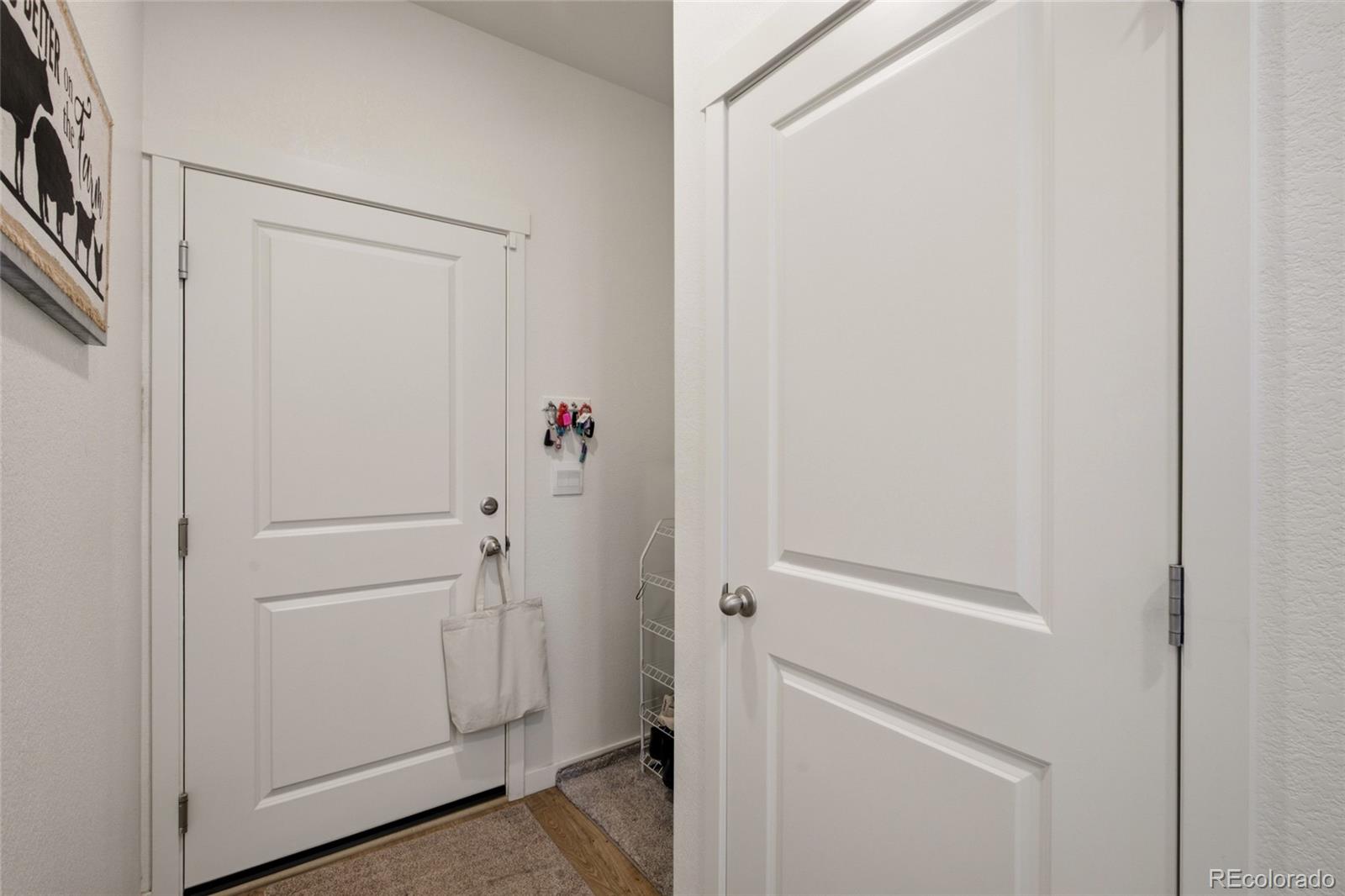 MLS Image #8 for 605  sawyers pond drive,severance, Colorado
