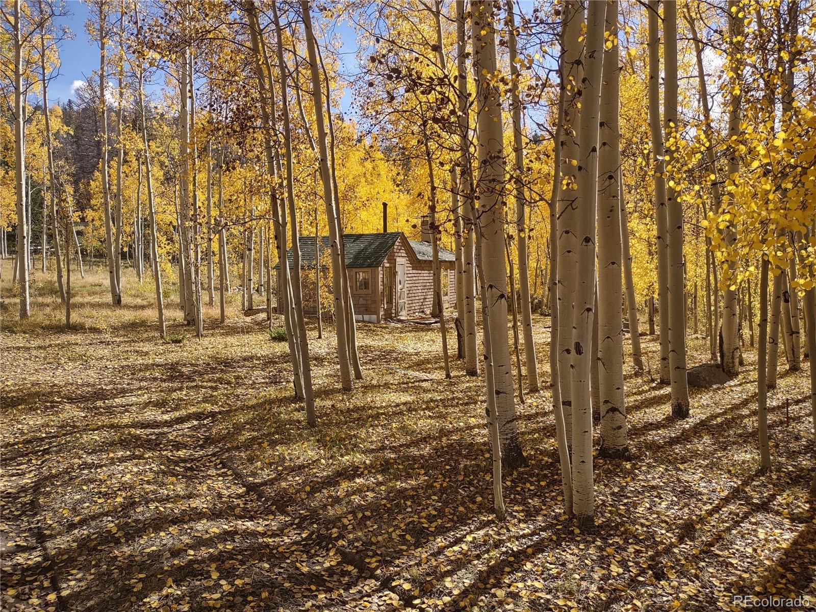 MLS Image #0 for 2875  182 ,salida, Colorado