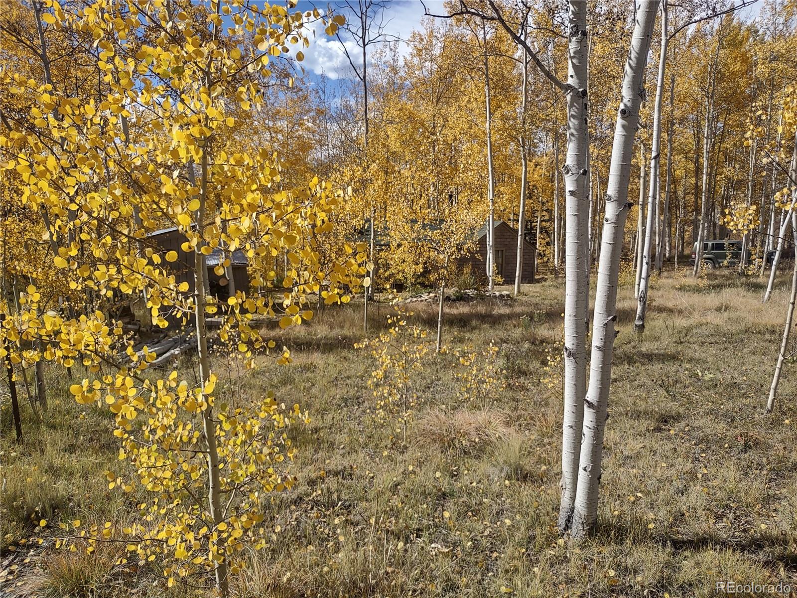 MLS Image #14 for 2875  182 ,salida, Colorado