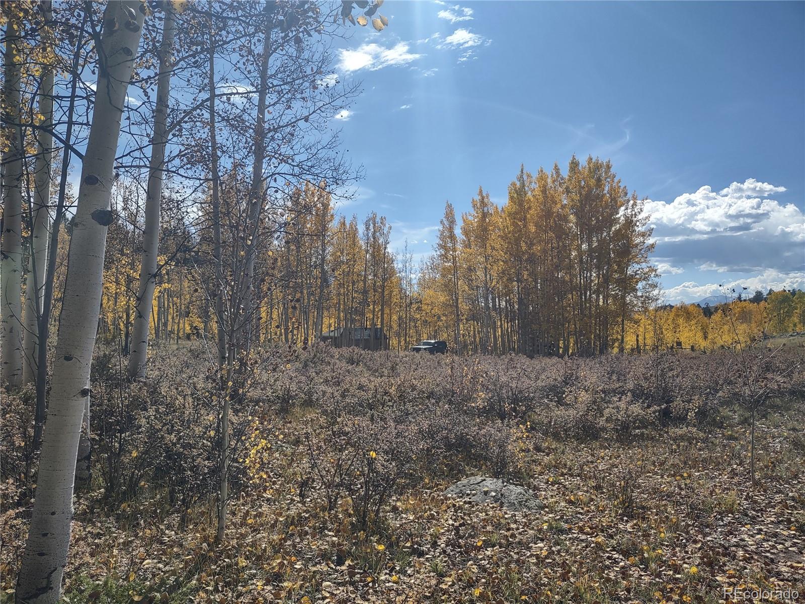 MLS Image #17 for 2875  182 ,salida, Colorado