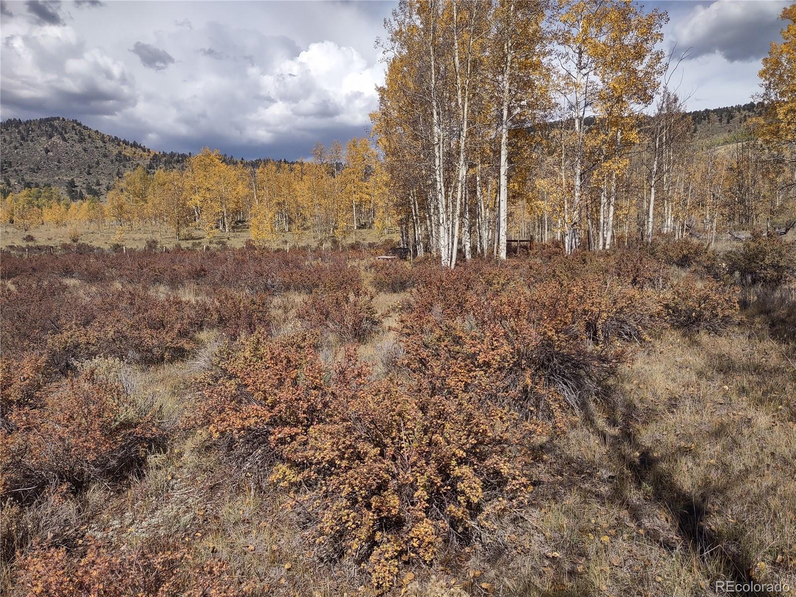 MLS Image #19 for 2875  182 ,salida, Colorado