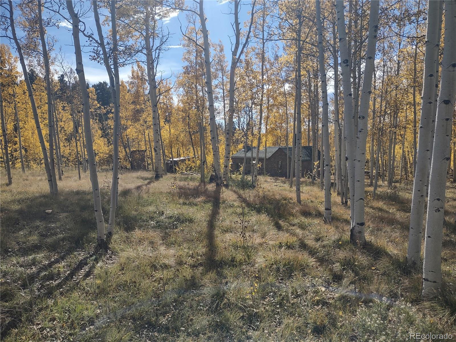 MLS Image #21 for 2875  182 ,salida, Colorado