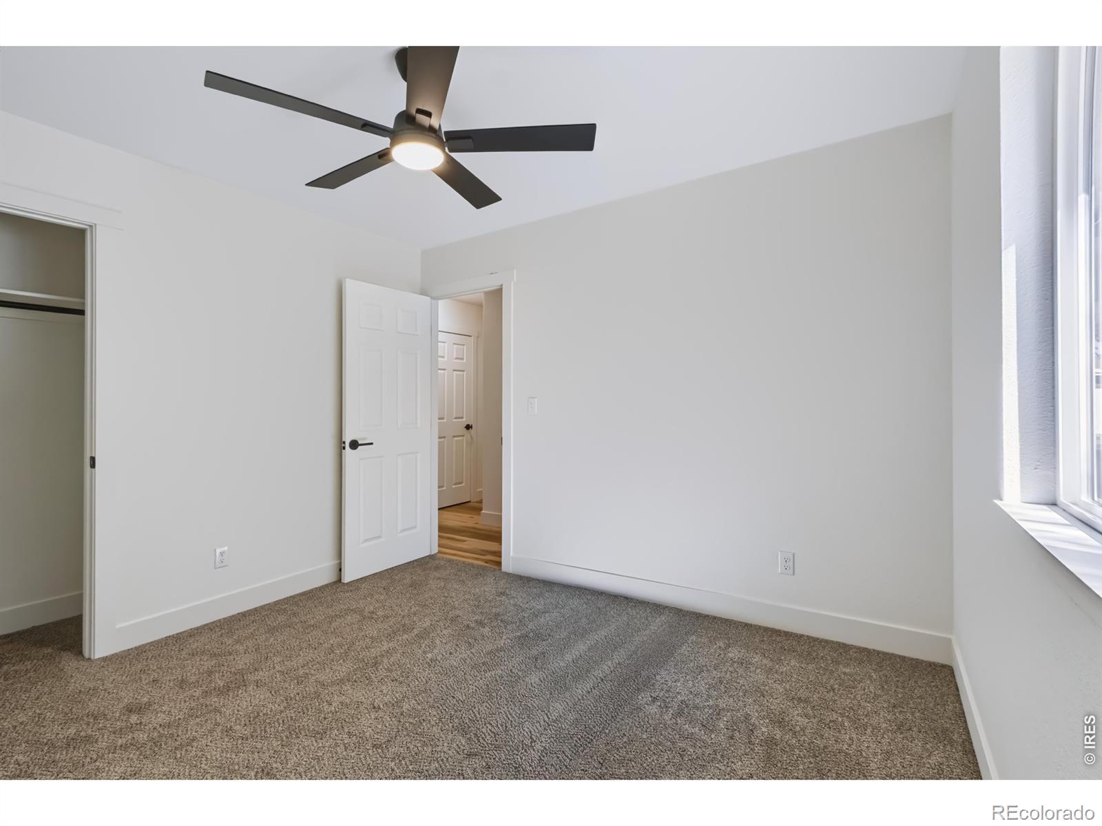 MLS Image #20 for 904  foothills court,windsor, Colorado