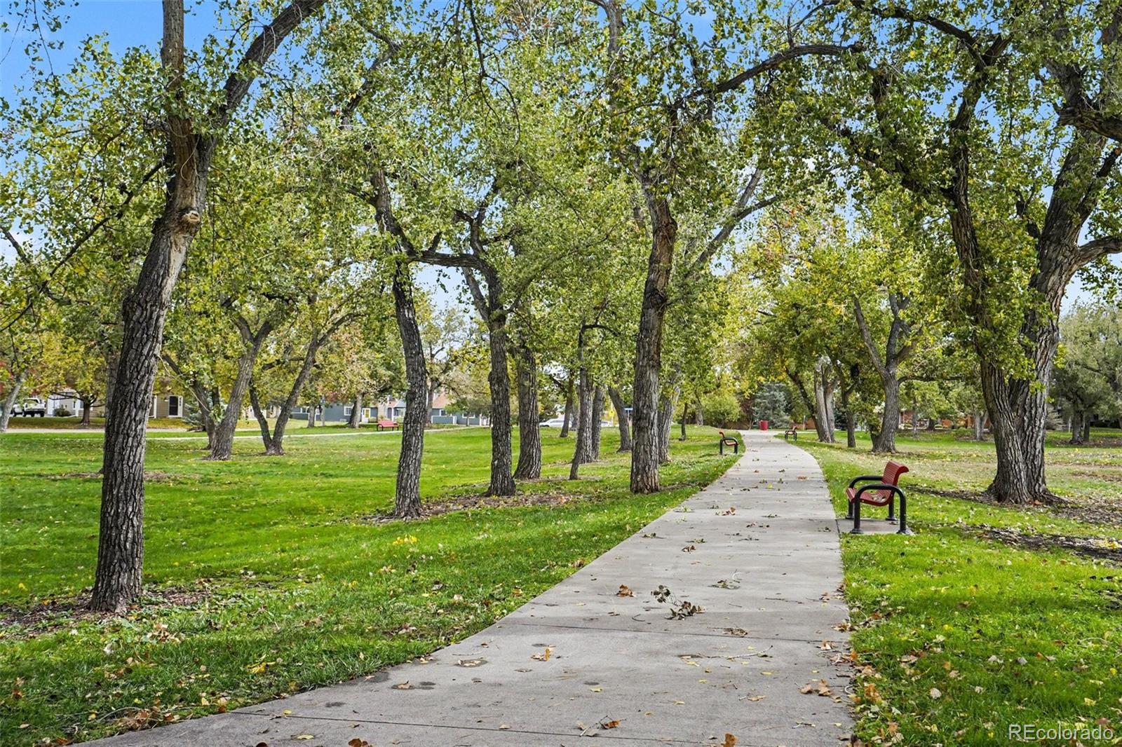 MLS Image #23 for 8415  everett way,arvada, Colorado