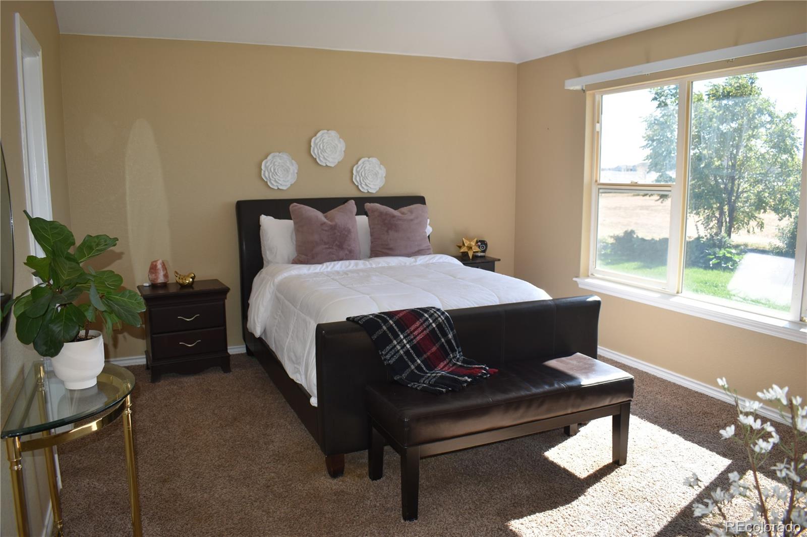 MLS Image #19 for 56300 e 39th avenue,strasburg, Colorado