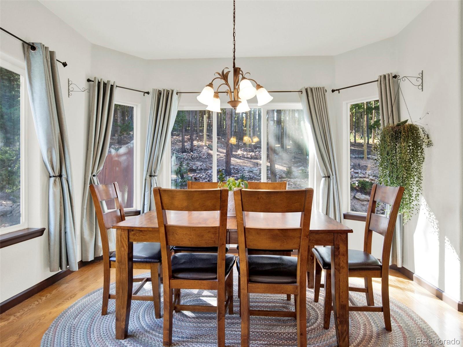 MLS Image #10 for 191  aspen way,evergreen, Colorado