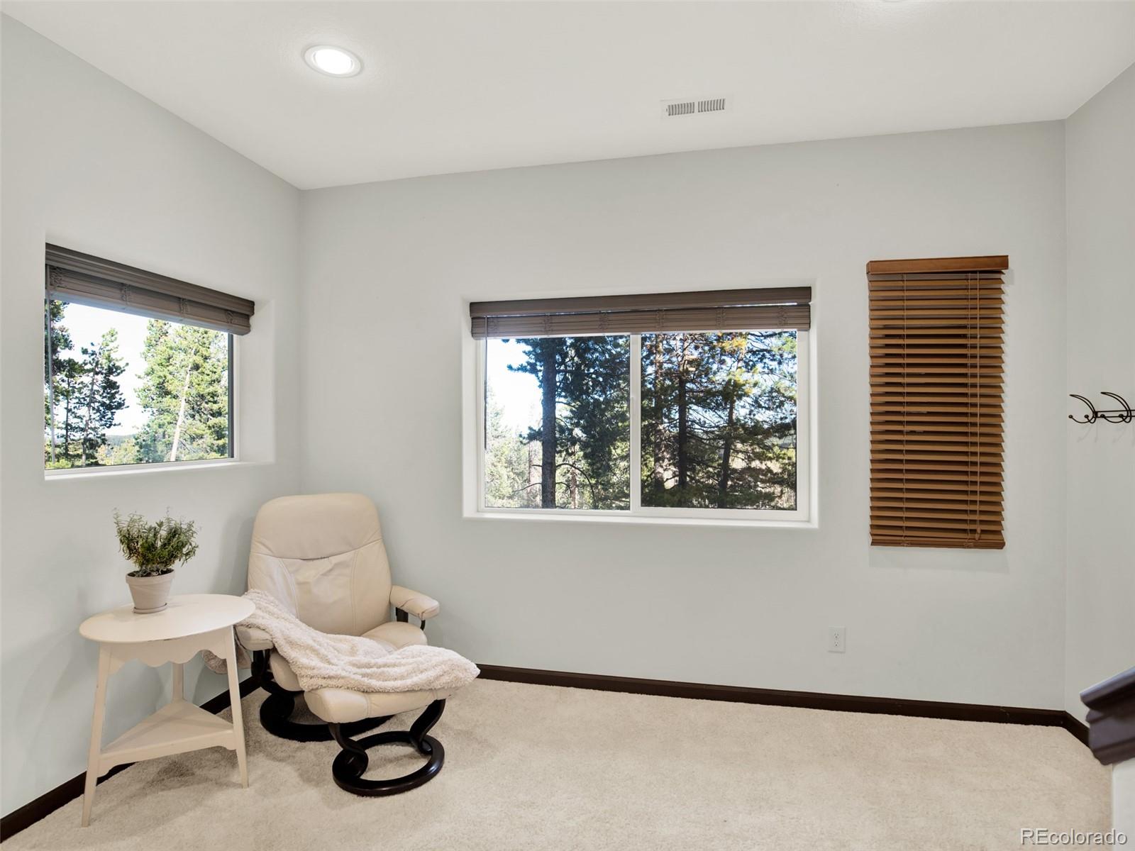 MLS Image #26 for 191  aspen way,evergreen, Colorado