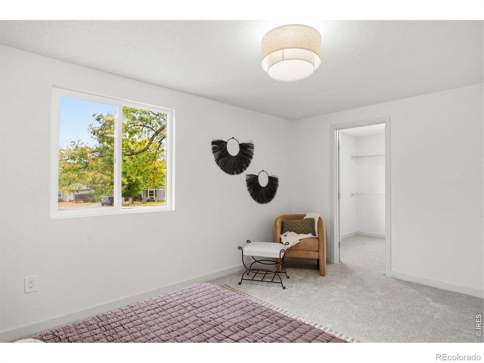 MLS Image #23 for 3152  birmingham drive,fort collins, Colorado