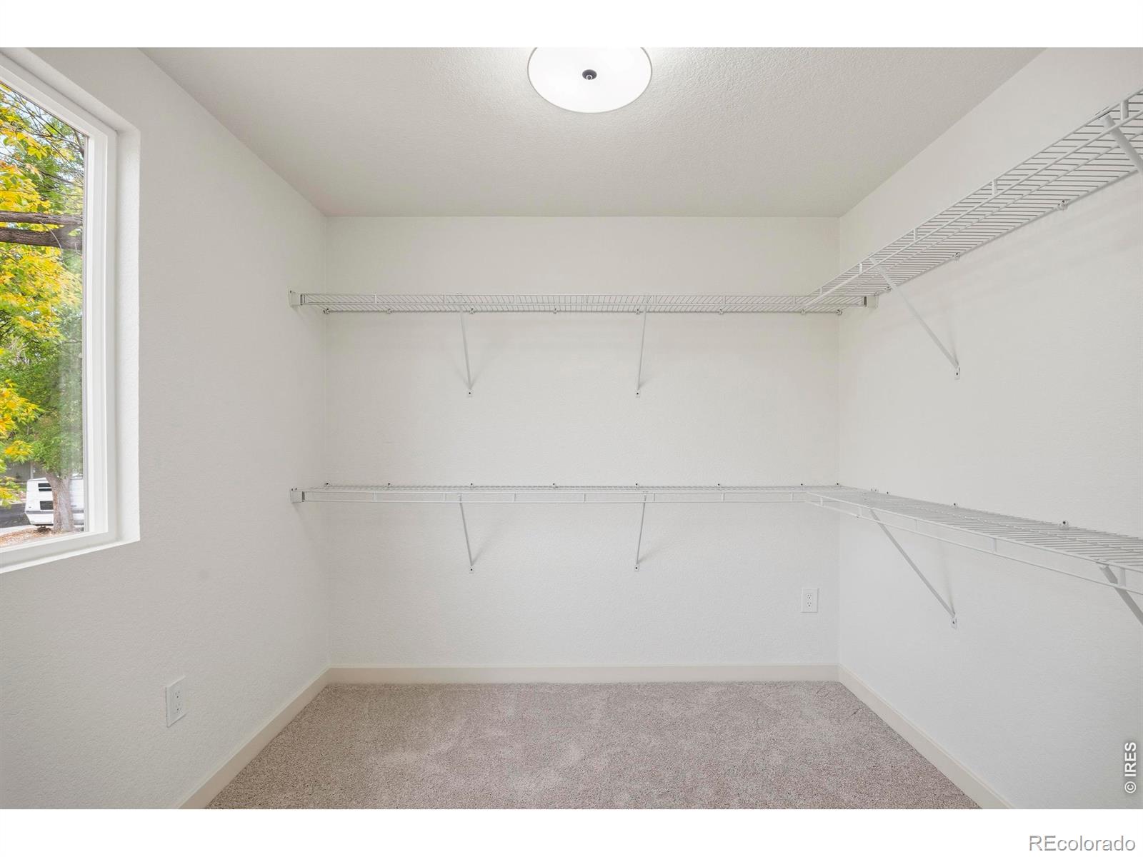 MLS Image #26 for 3152  birmingham drive,fort collins, Colorado