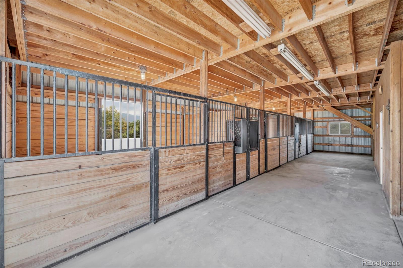 MLS Image #31 for 6690  rainbow creek road,sedalia, Colorado