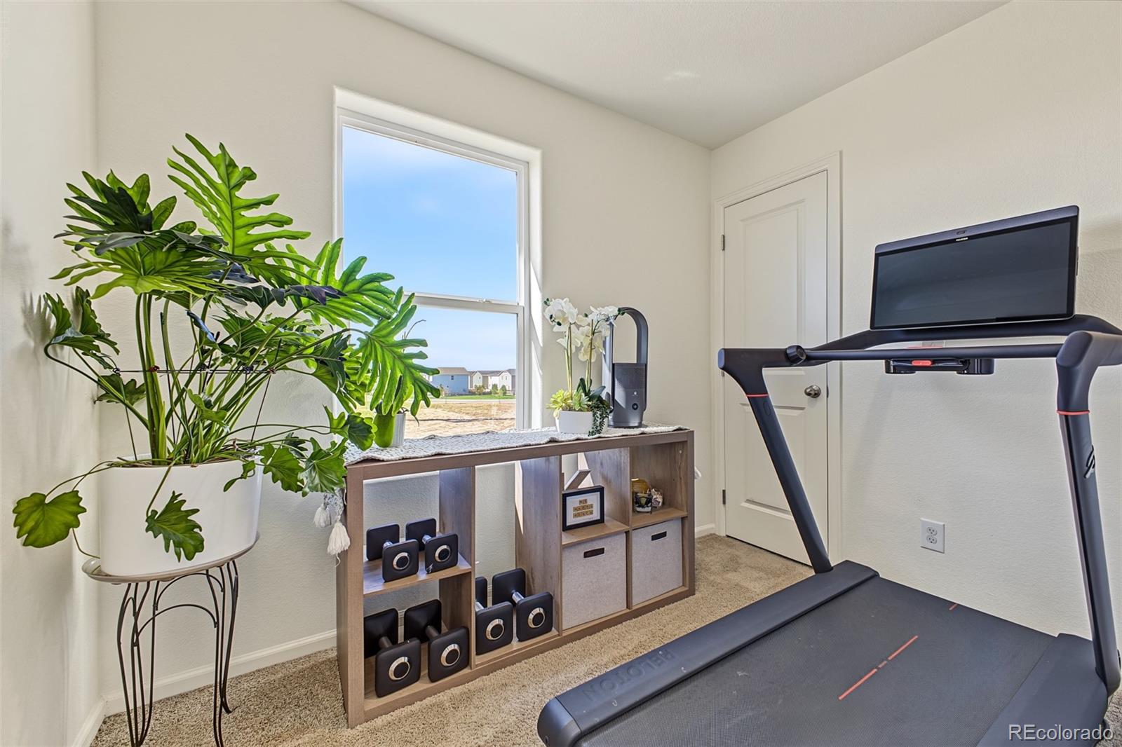 MLS Image #27 for 7204  fall river circle,frederick, Colorado
