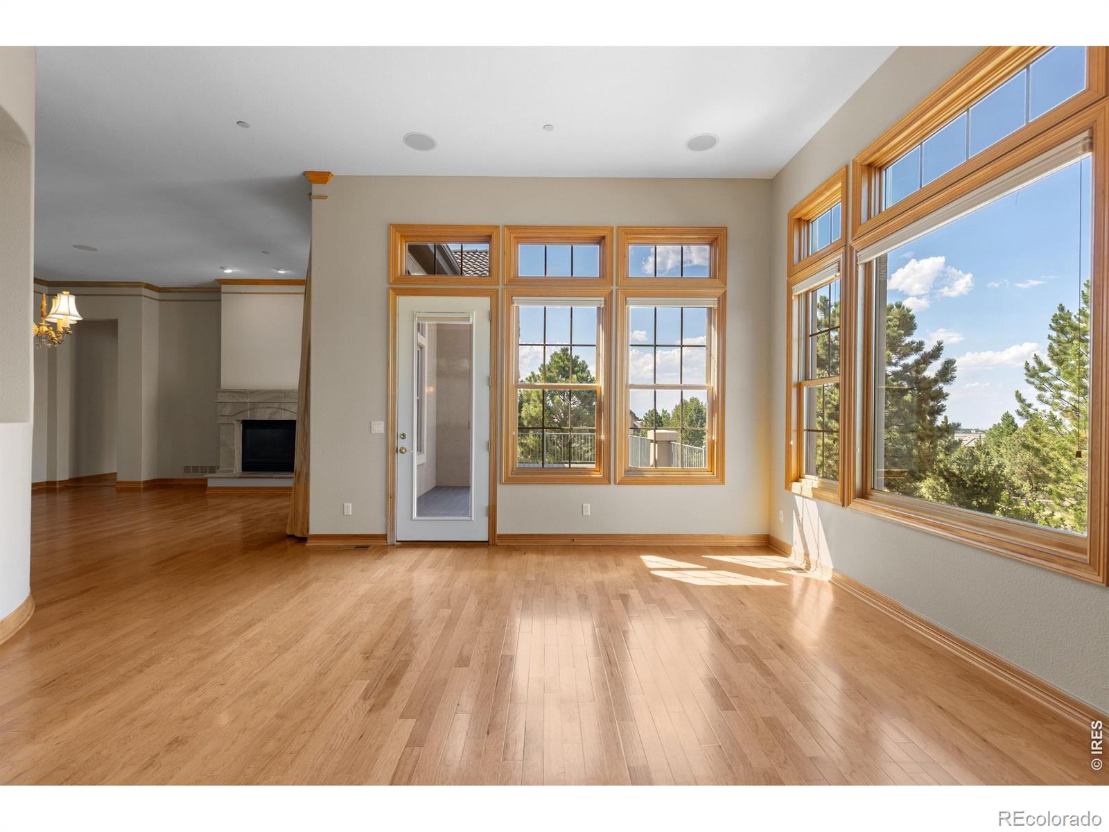 MLS Image #20 for 6127  maroon peak place,castle rock, Colorado