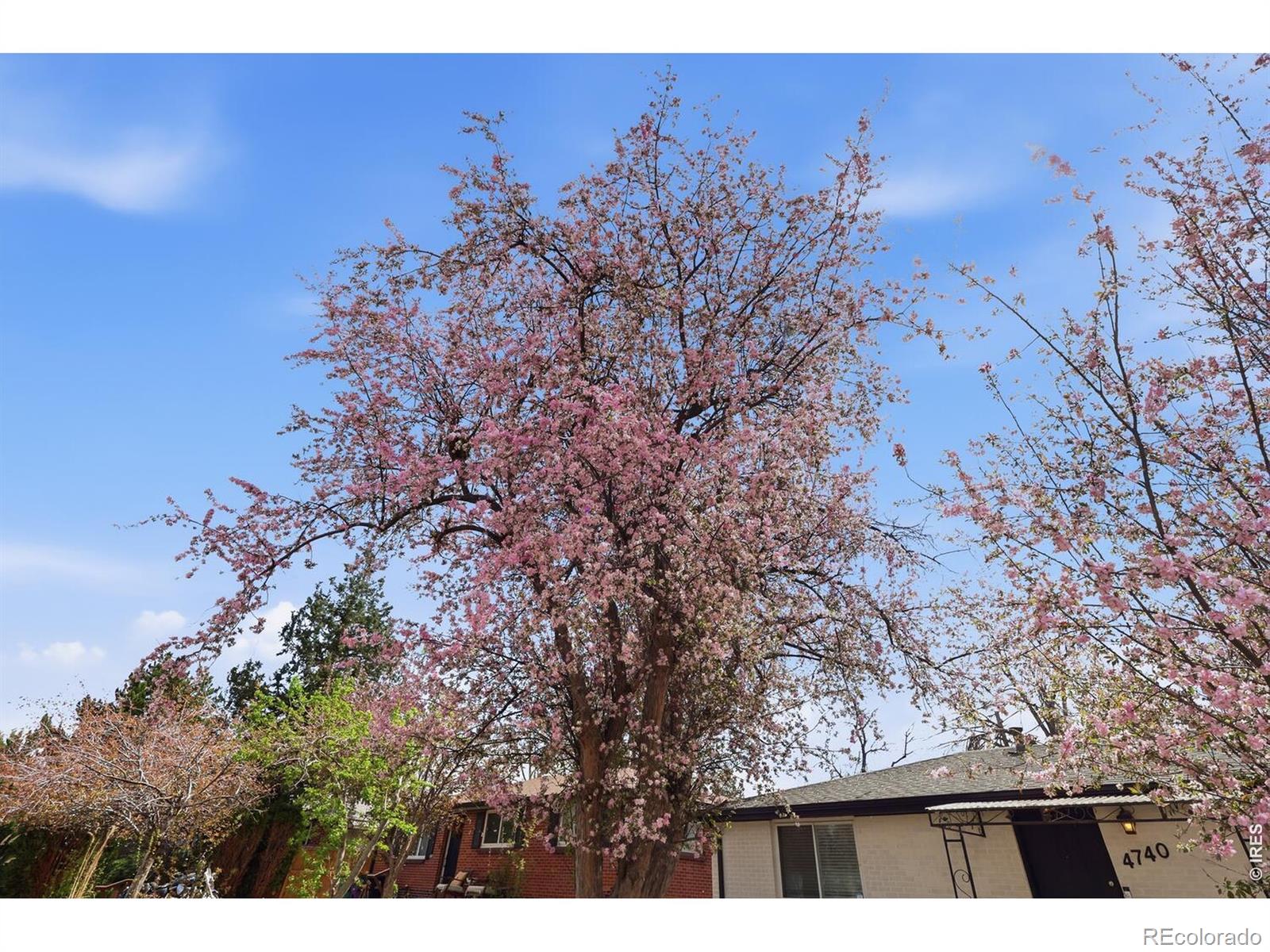 MLS Image #35 for 4740 e jewell avenue,denver, Colorado