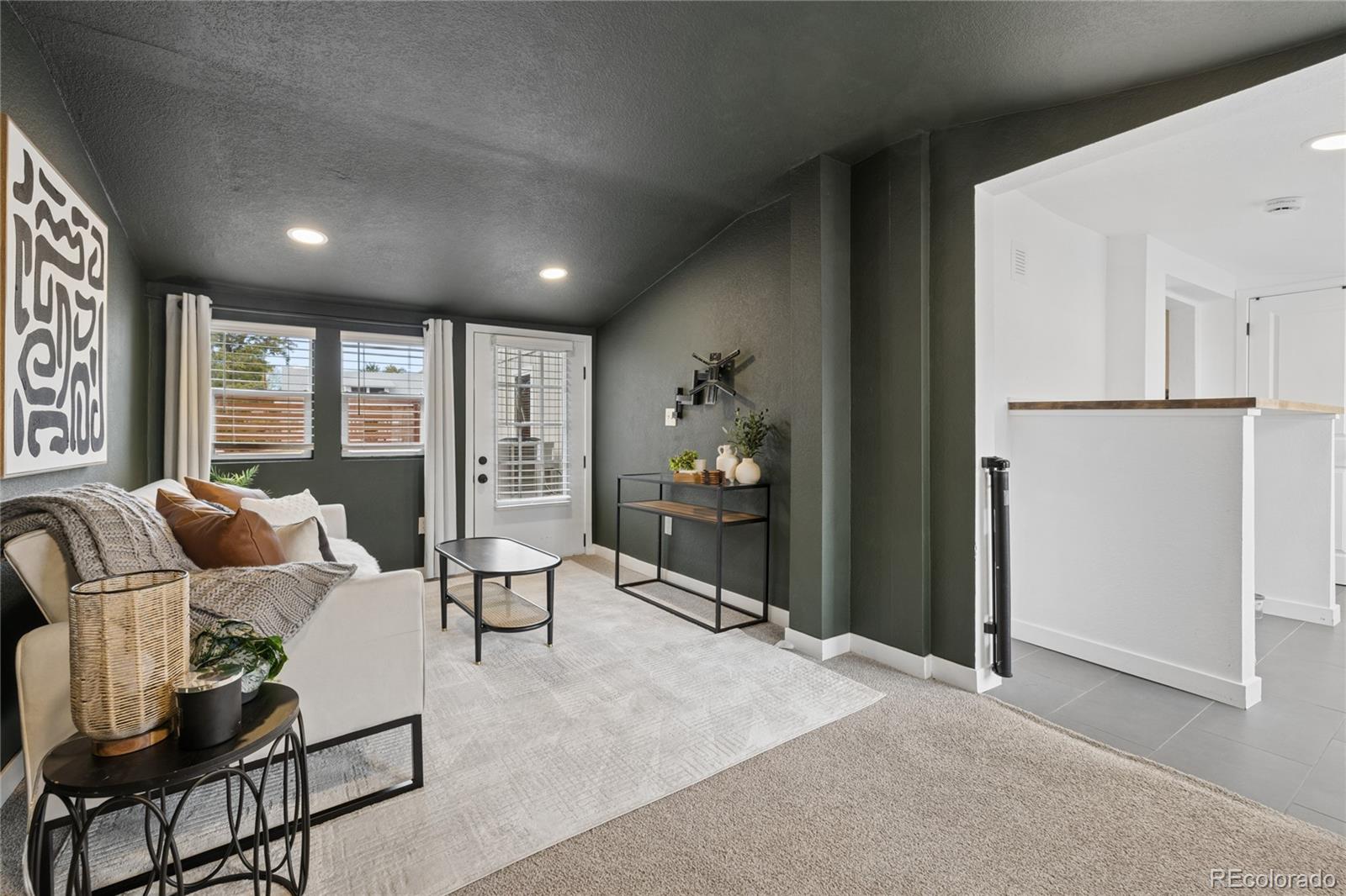 MLS Image #18 for 754  king street,denver, Colorado