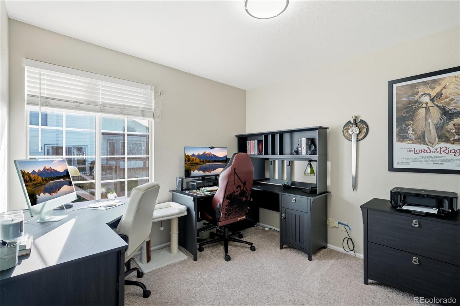 MLS Image #33 for 3144  white oak street,highlands ranch, Colorado
