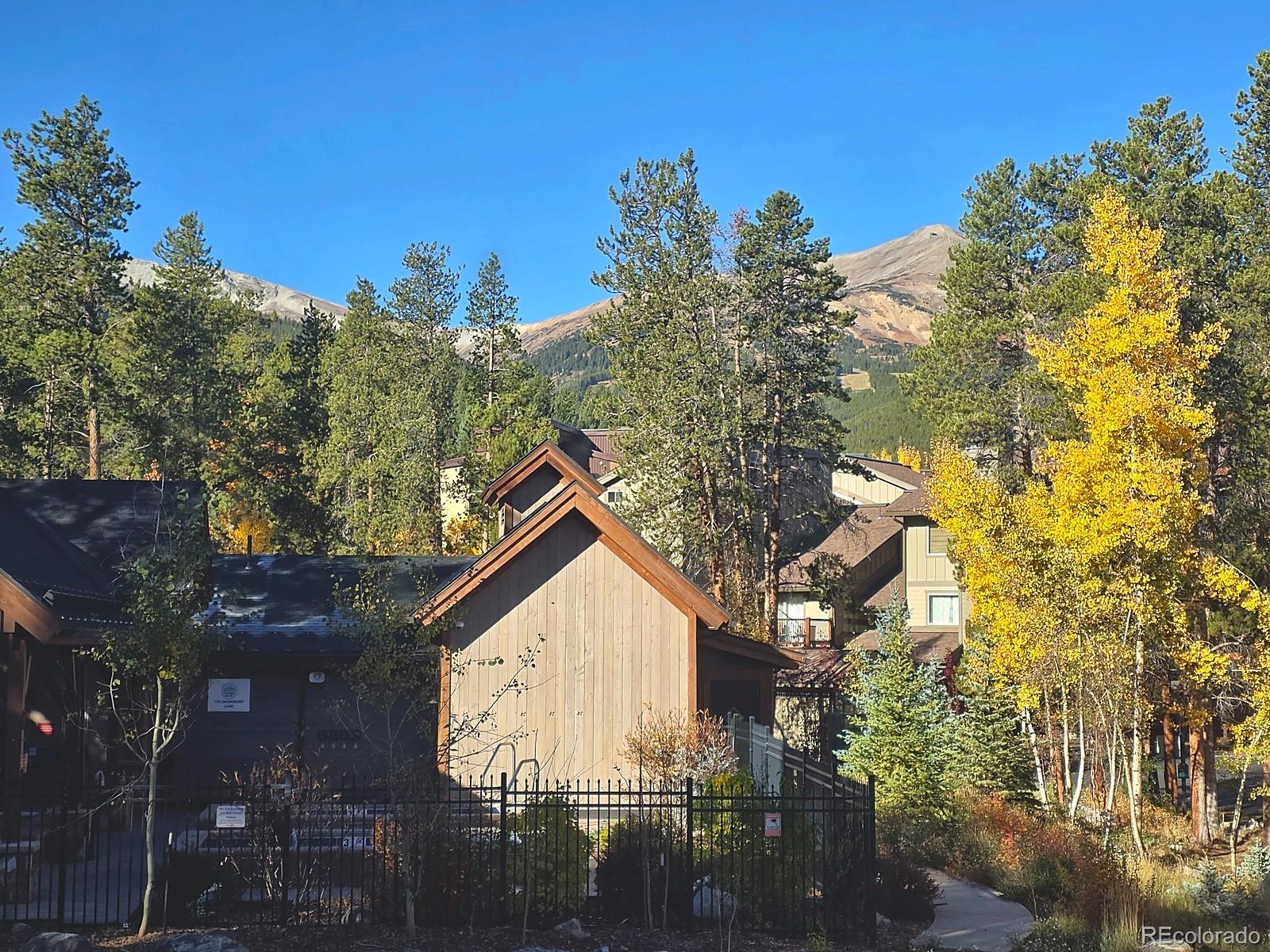 MLS Image #2 for 705  snowberry lane 112,breckenridge, Colorado