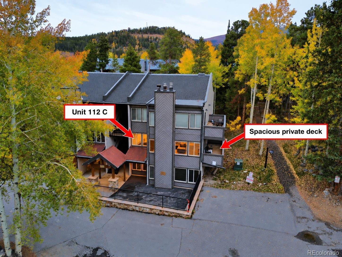 MLS Image #3 for 705  snowberry lane 112,breckenridge, Colorado