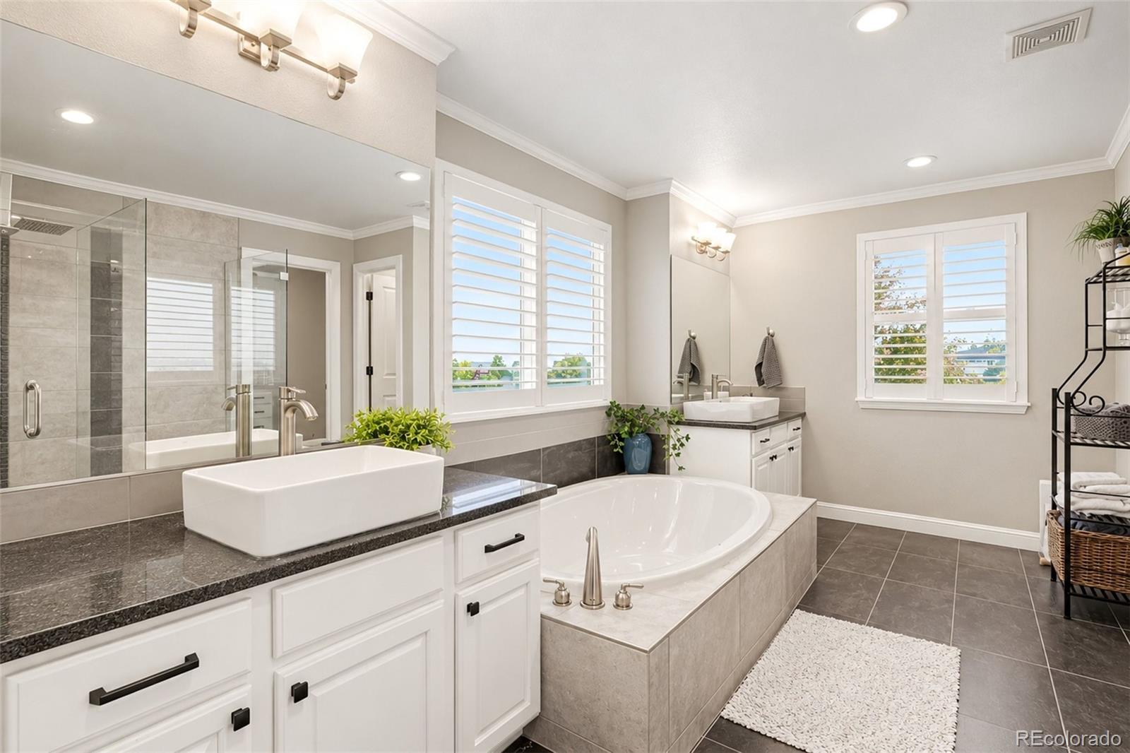 MLS Image #17 for 12136 s grass river court,parker, Colorado