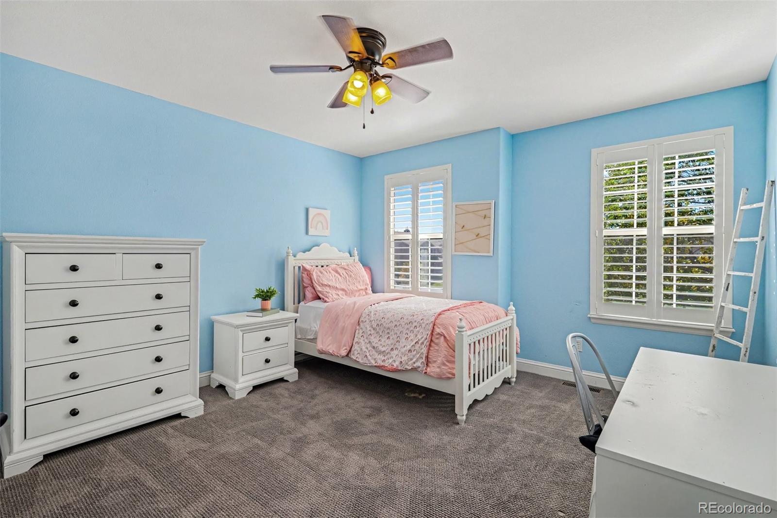 MLS Image #21 for 12136 s grass river court,parker, Colorado