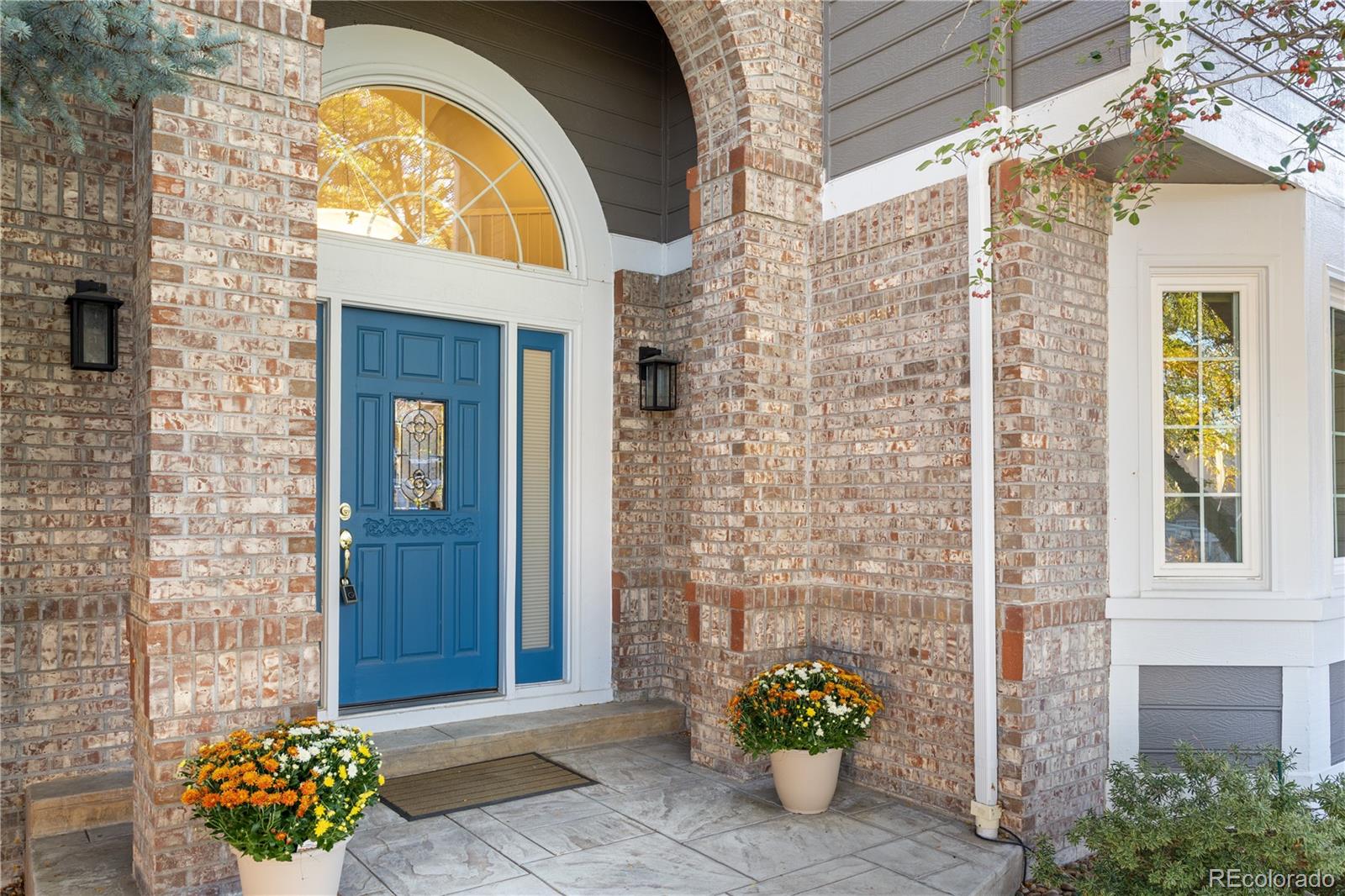 MLS Image #3 for 9814  venneford ranch road,highlands ranch, Colorado
