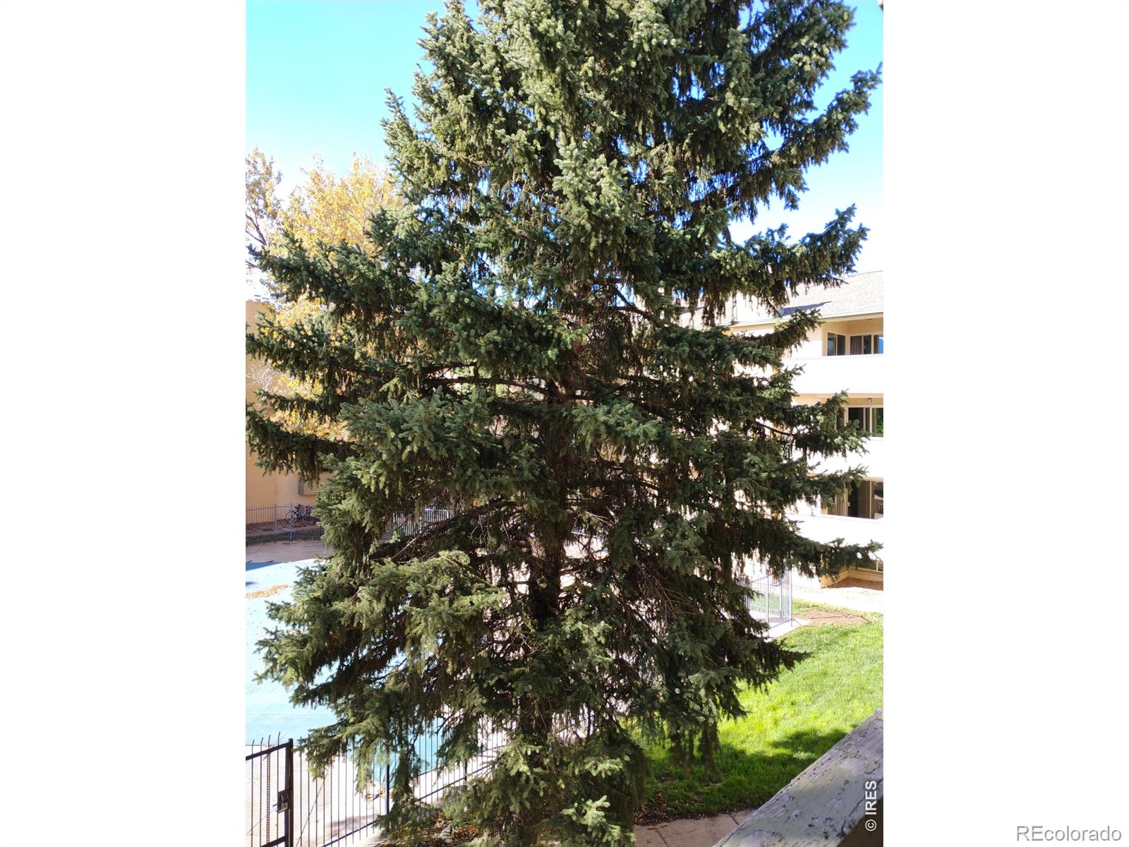 MLS Image #9 for 3035  oneal parkway,boulder, Colorado