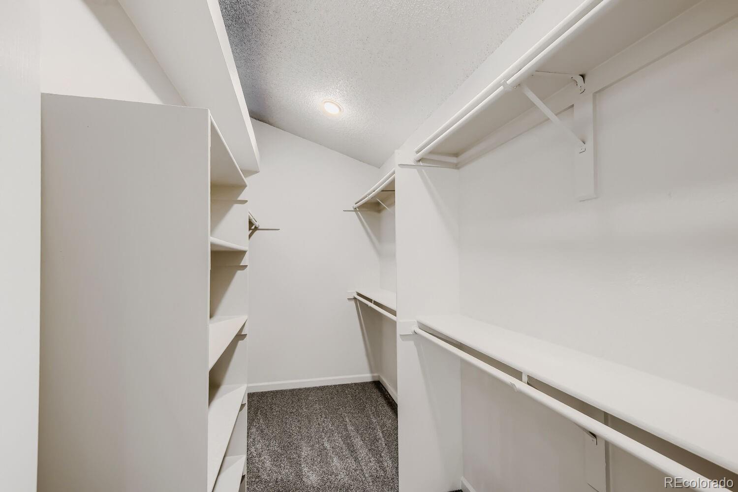 MLS Image #19 for 4413 w mountain vista lane,castle rock, Colorado