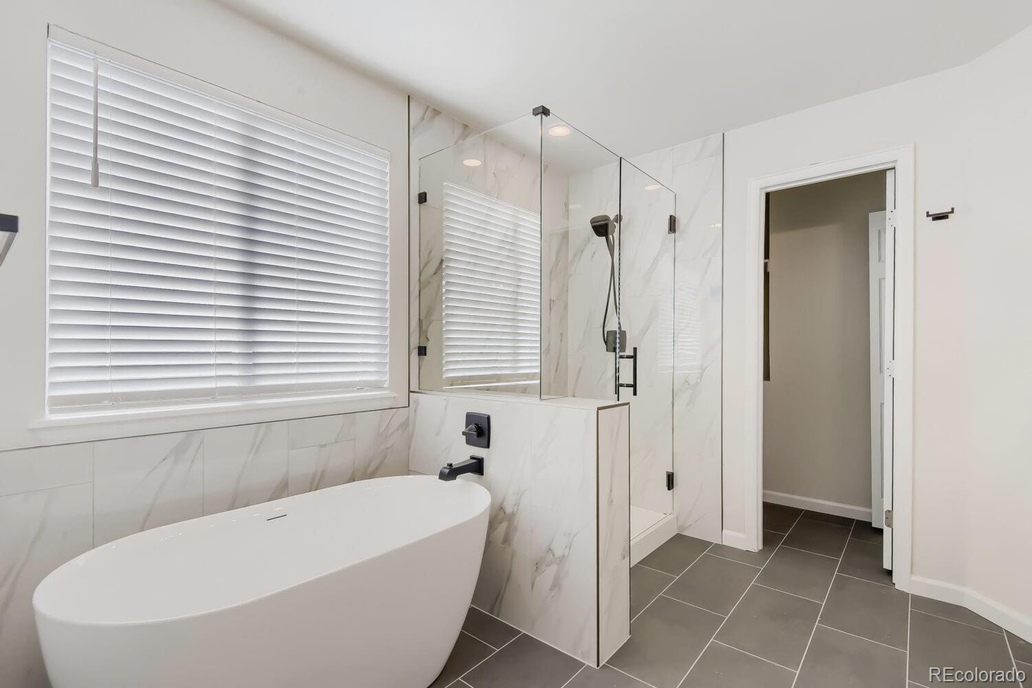 MLS Image #20 for 4413 w mountain vista lane,castle rock, Colorado