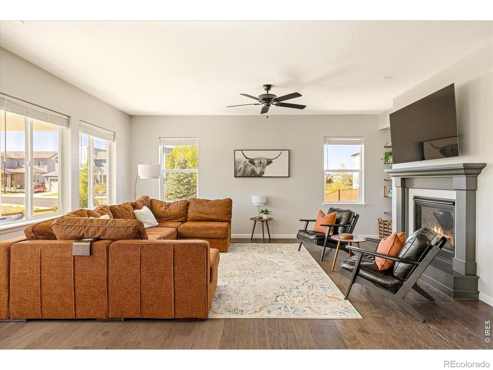 MLS Image #4 for 4744  ravencrest place,castle rock, Colorado