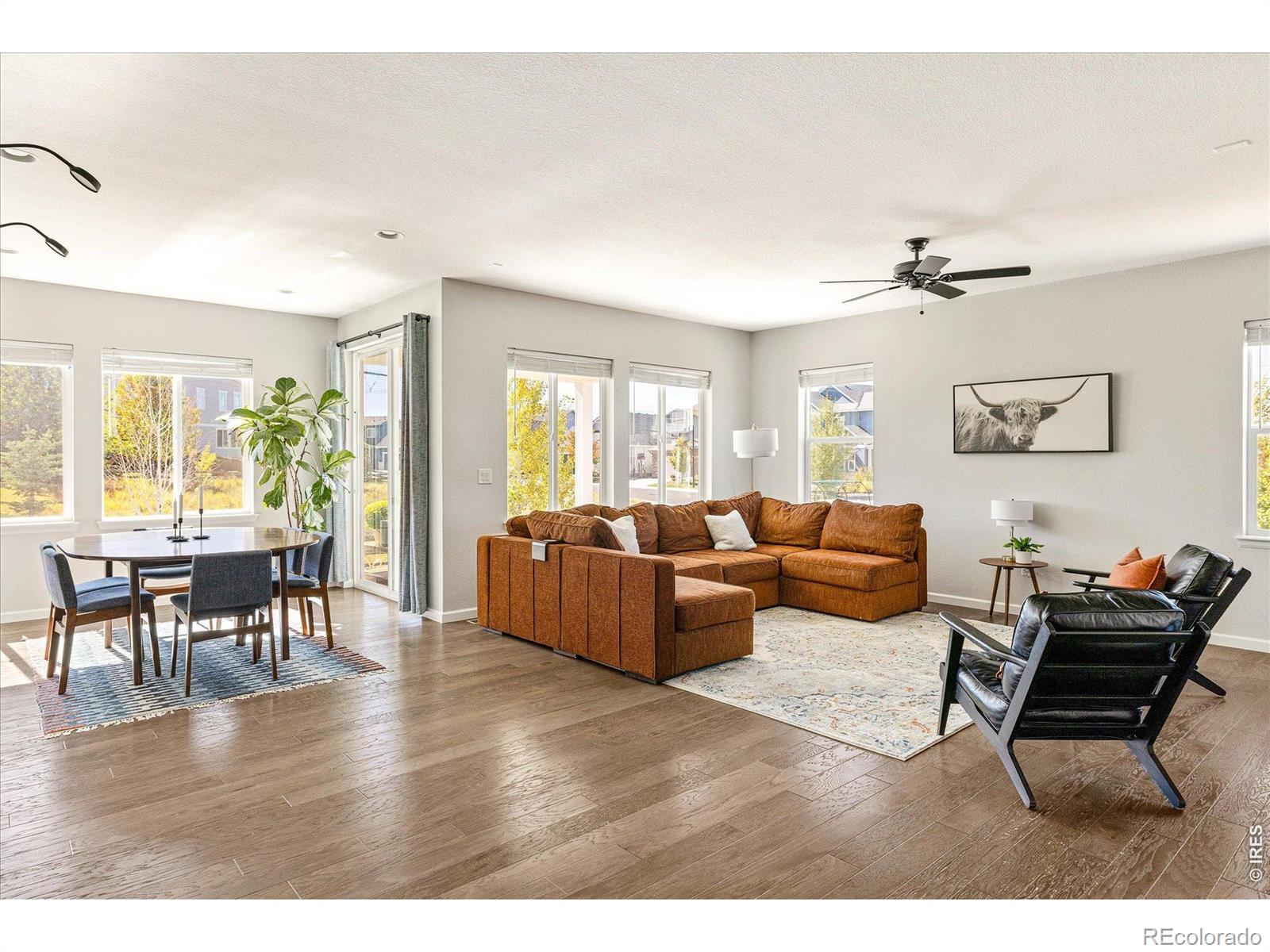 MLS Image #6 for 4744  ravencrest place,castle rock, Colorado