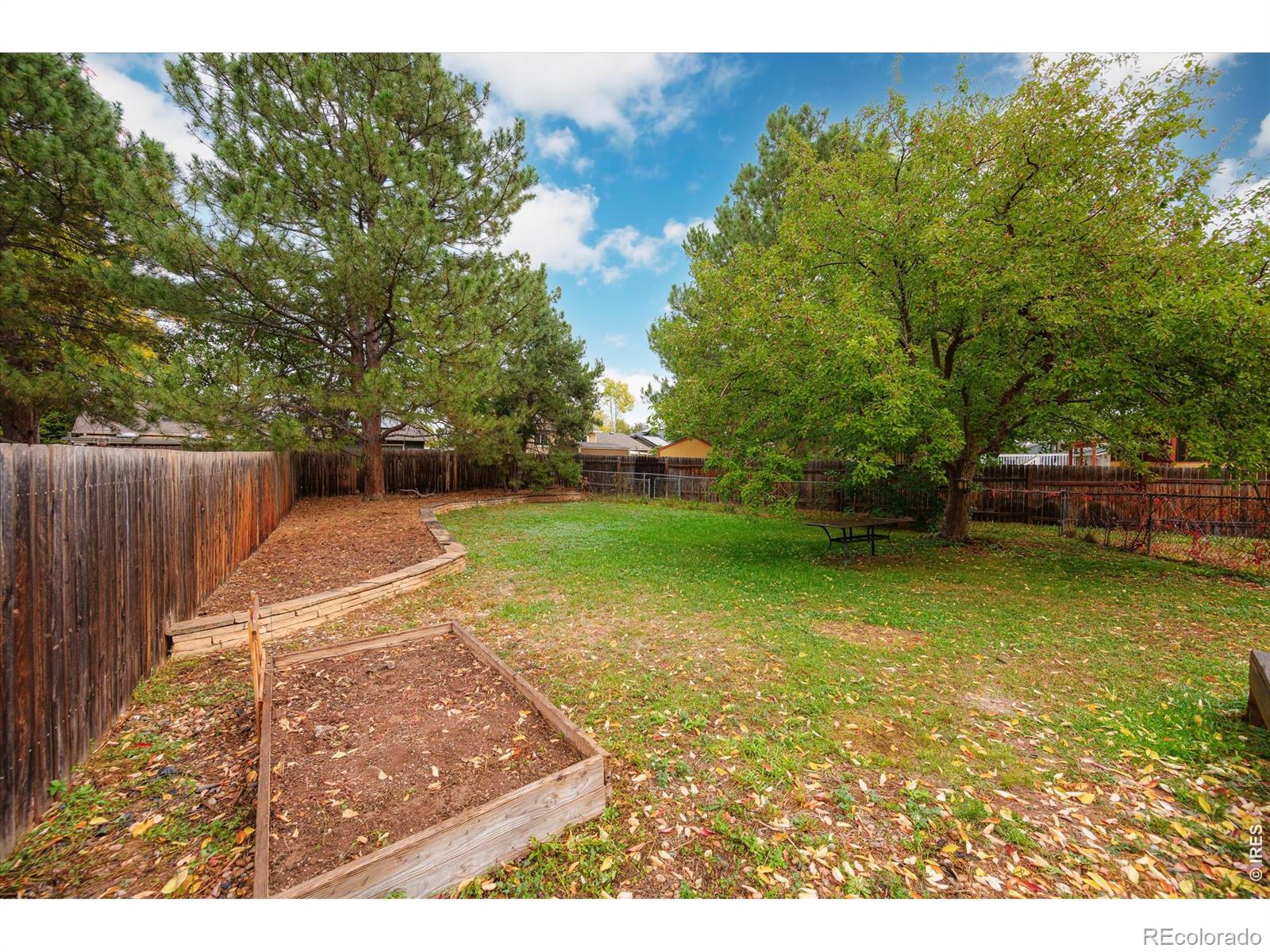 MLS Image #33 for 3349  hickok drive,fort collins, Colorado