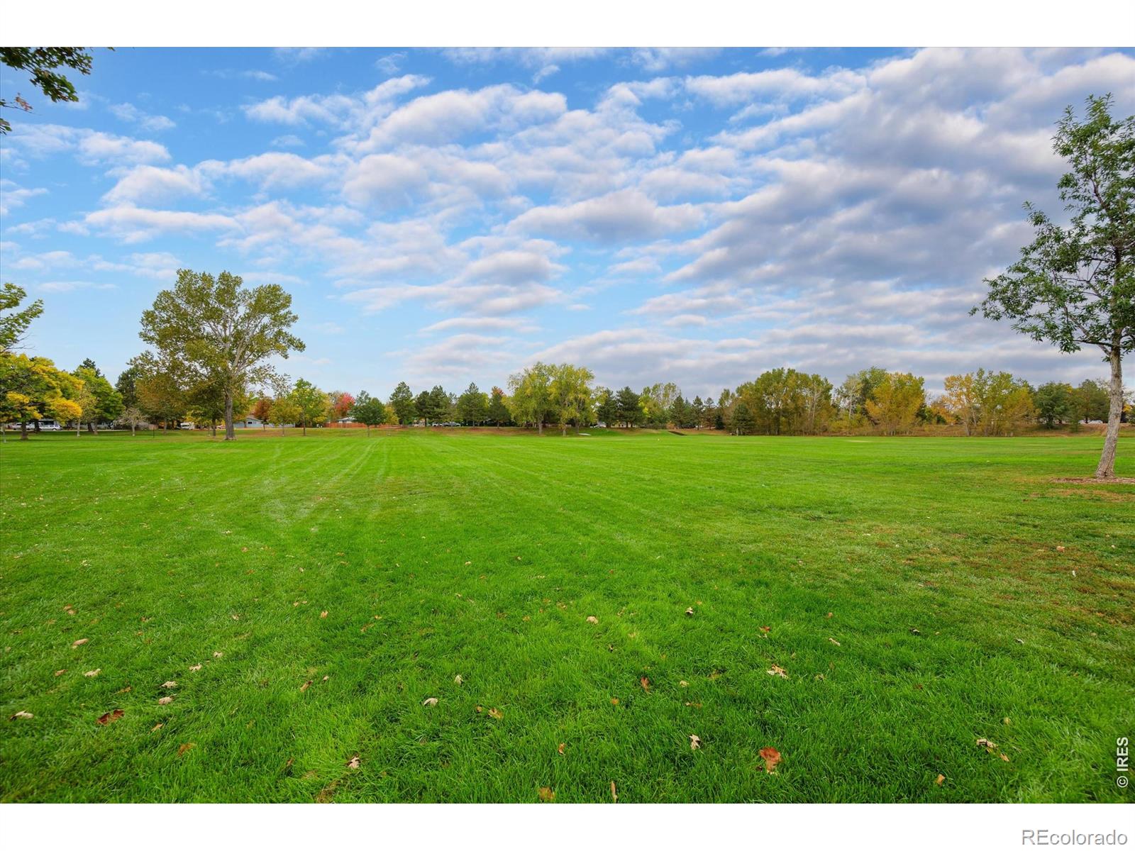 MLS Image #41 for 3349  hickok drive,fort collins, Colorado
