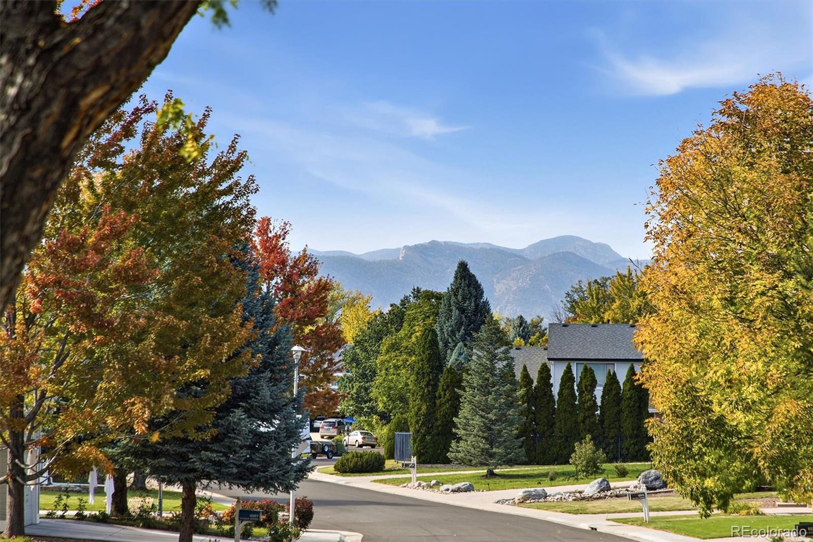 MLS Image #3 for 6156  holman street,arvada, Colorado