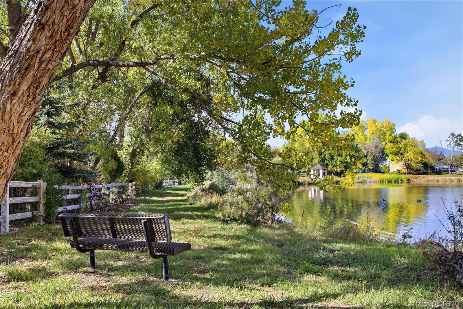 MLS Image #47 for 6156  holman street,arvada, Colorado