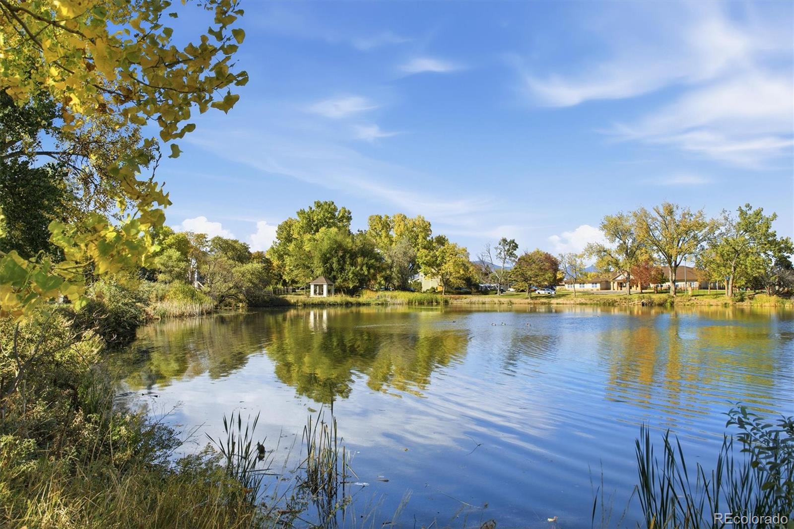 MLS Image #48 for 6156  holman street,arvada, Colorado