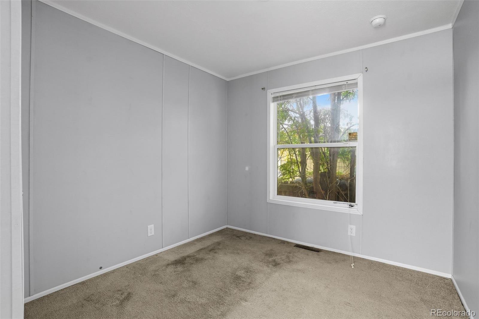MLS Image #18 for 1404  macpool street,dacono, Colorado
