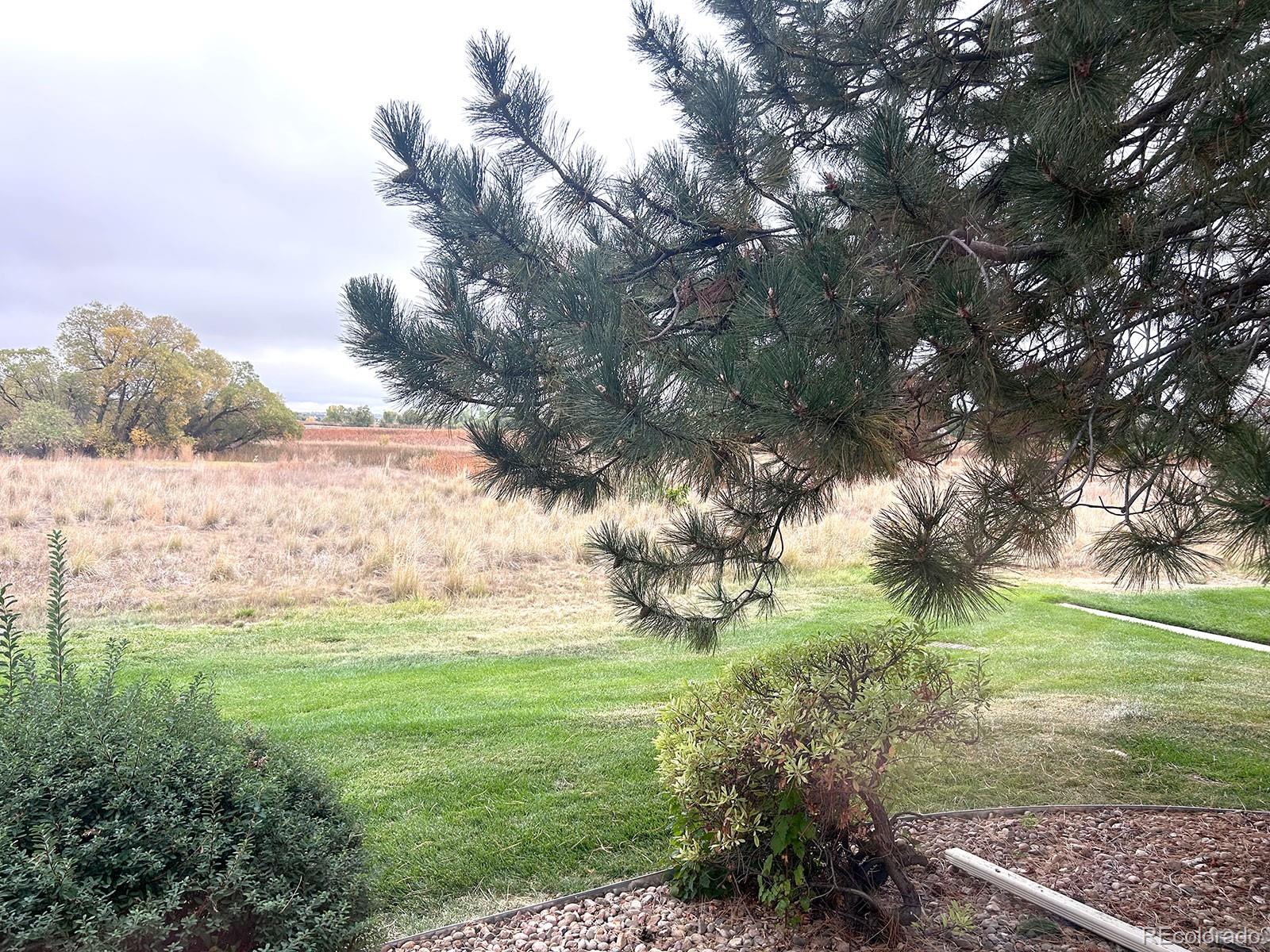 MLS Image #26 for 13732  legend way,broomfield, Colorado