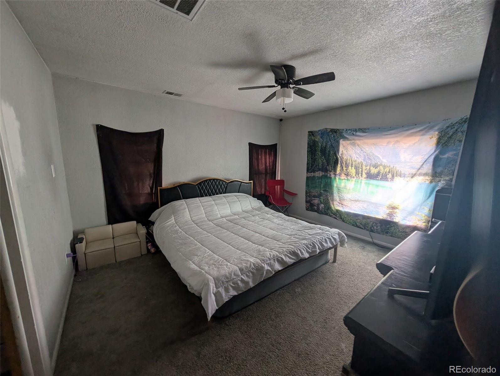 MLS Image #5 for 2912 w short place,denver, Colorado