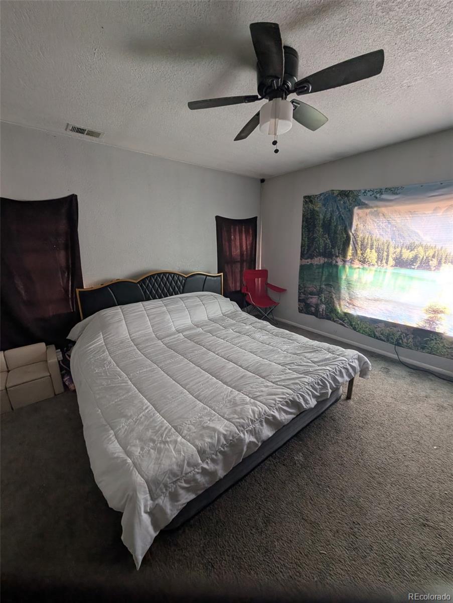MLS Image #7 for 2912 w short place,denver, Colorado