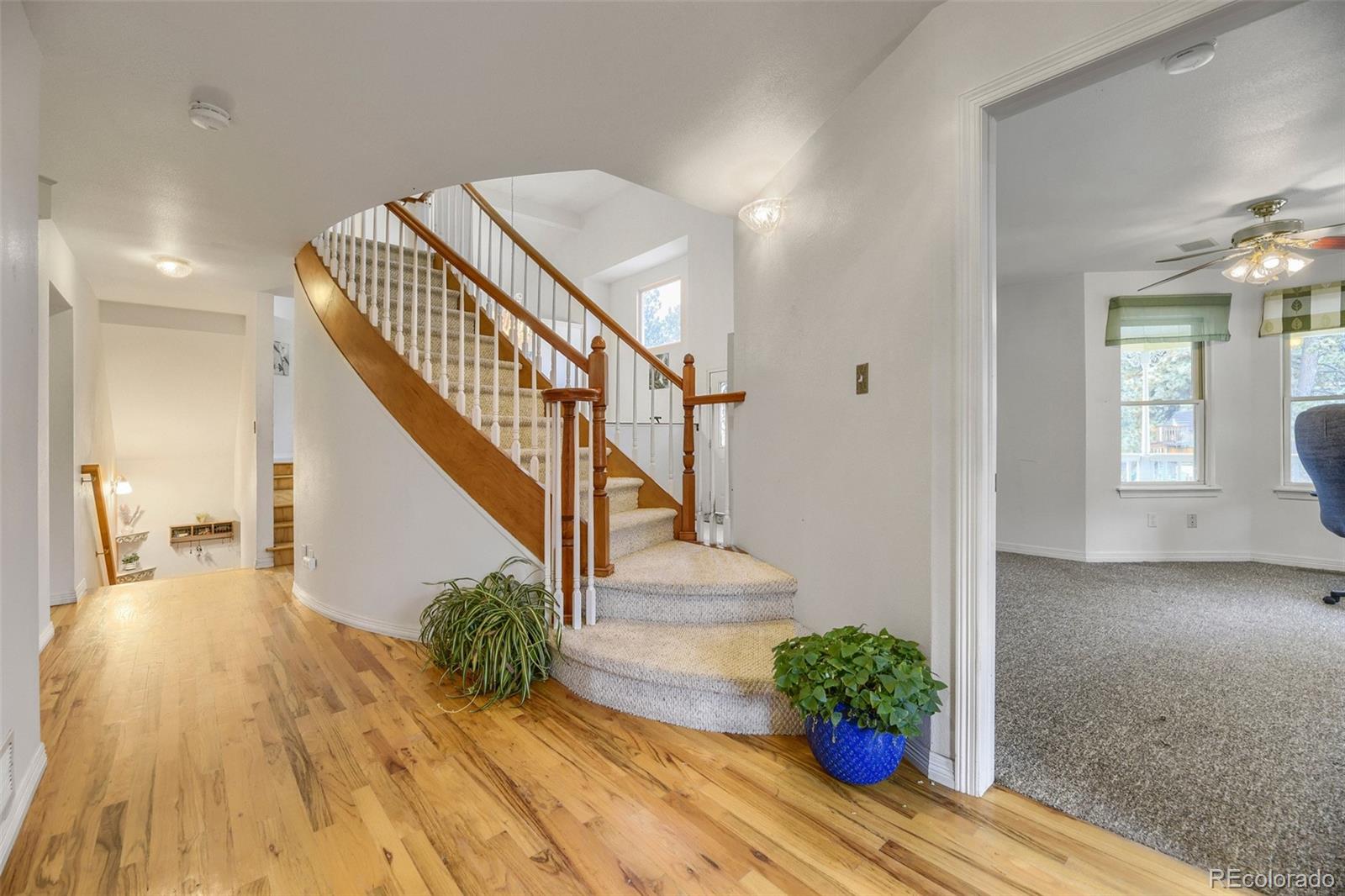 MLS Image #5 for 1300  gambel oaks drive,elizabeth, Colorado