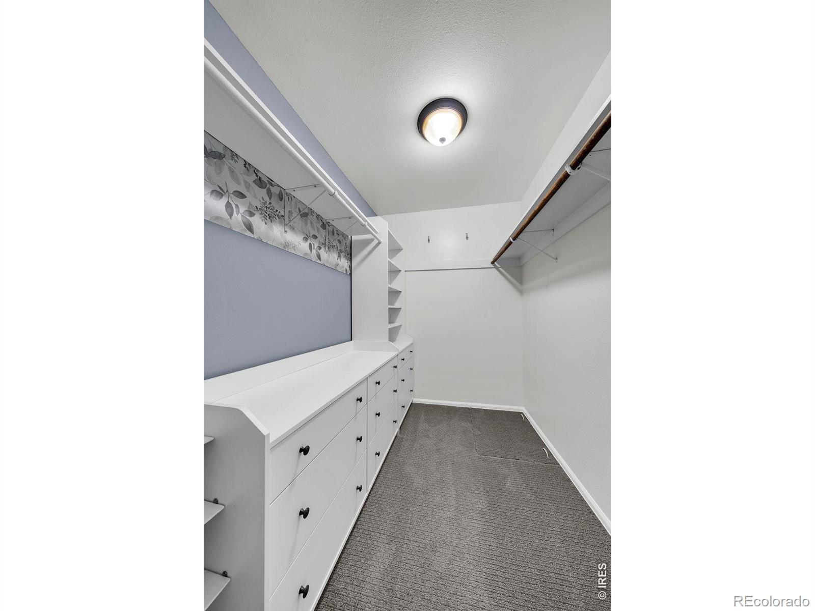 MLS Image #18 for 3825  columbia drive,longmont, Colorado