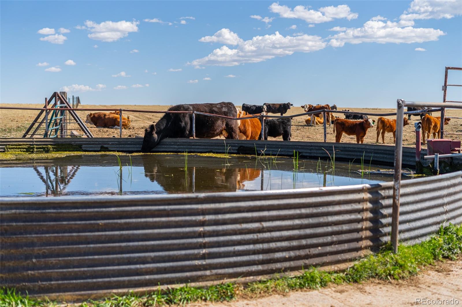 MLS Image #6 for 44005  kiowa bennett road,kiowa, Colorado