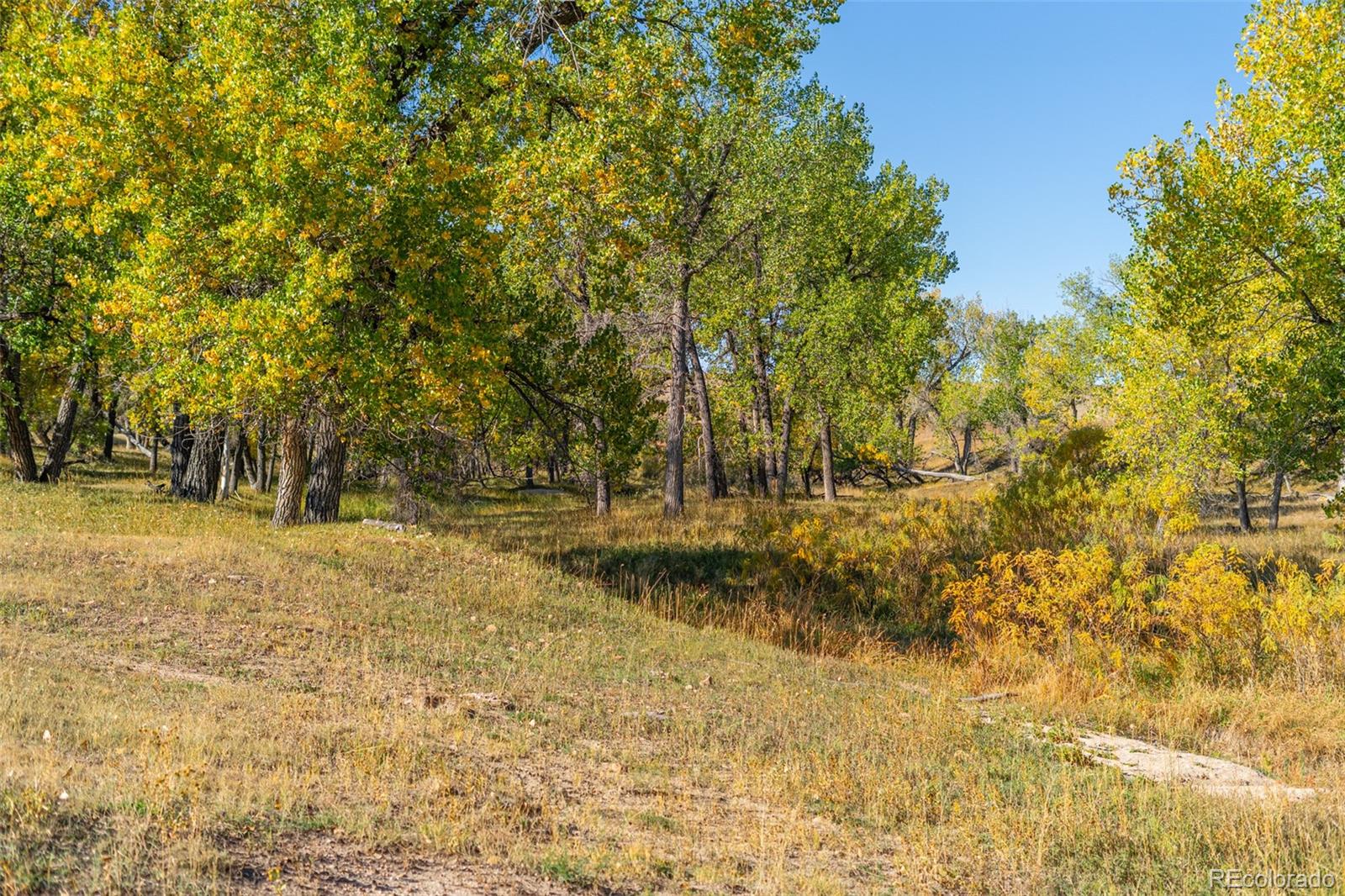 MLS Image #7 for 44005  kiowa bennett road,kiowa, Colorado