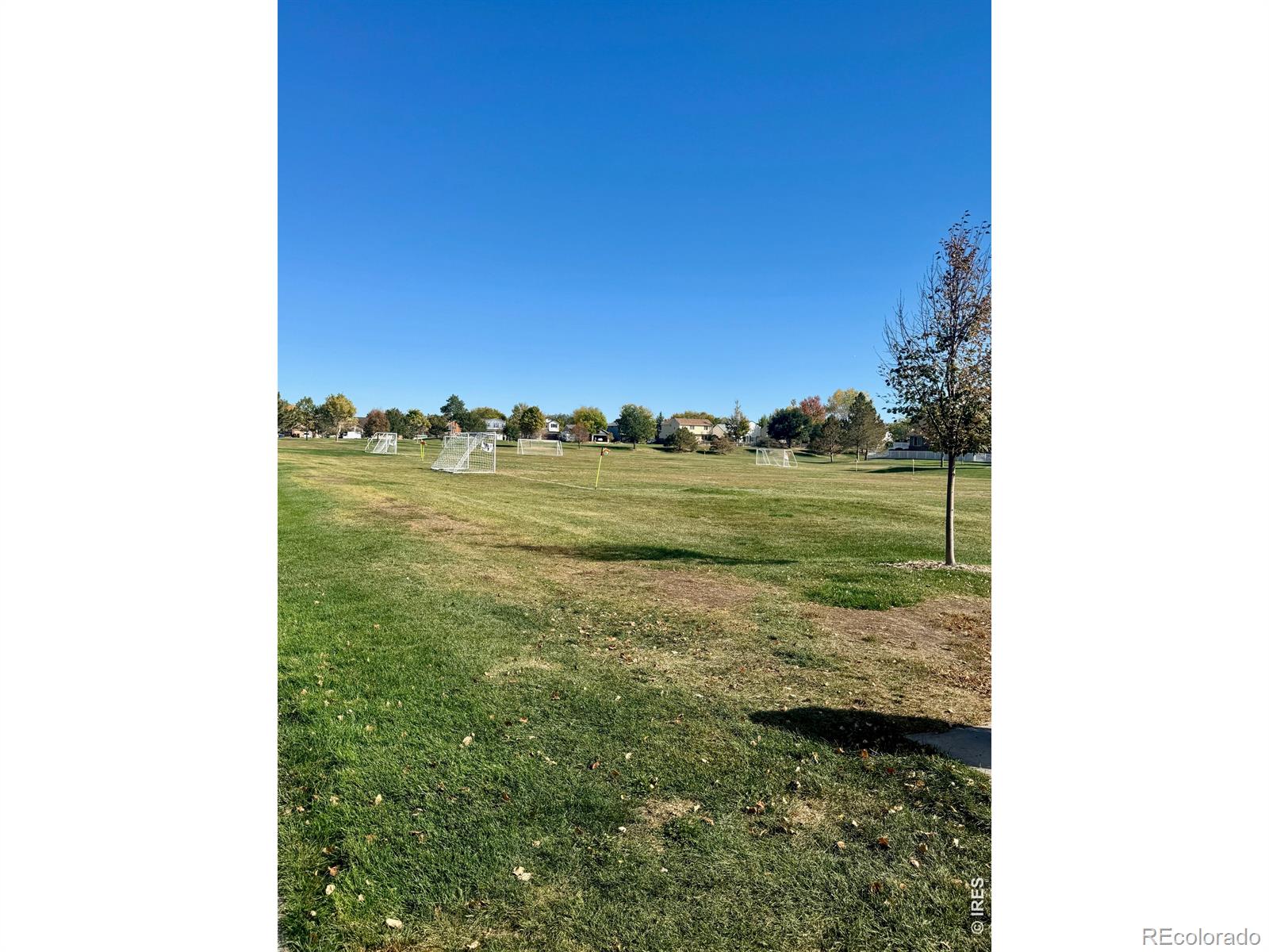 MLS Image #44 for 12603  irving circle,broomfield, Colorado